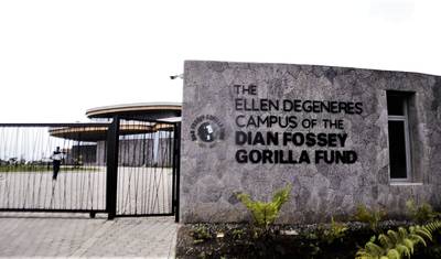 02 Days Gorilla Trek Rwanda — 4