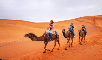 Majestic Morocco: A 10-Day Cultural and Desert Adventure — 3