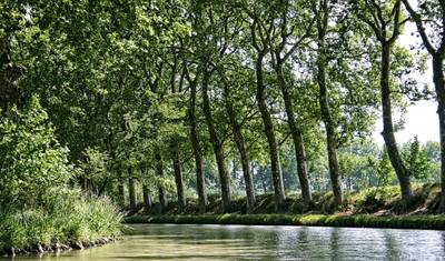 Canal du midi Cycling : from Toulouse to Sete — 2