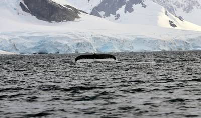 Antártica: O Continente Branco (De Buenos Aires a Ushuaia) — 5
