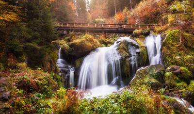 Cote d Azur, Burgundy, Alsace and Black Forest — 2