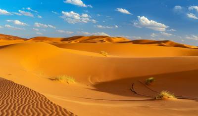 العواصم المغربية وإشبيلية ولشبونة — 3