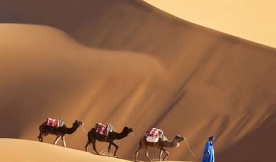 Sonho no Deserto: Uma Viagem Marroquina de 4 Dias de Casablanca a M’Hamid — 5
