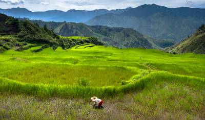 Northern Philippines Highlights — 5