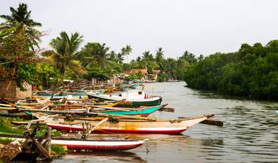 Premium Sri Lanka Dogłębnie — 2