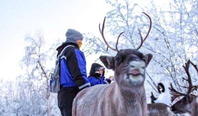 Finnish Lapland Winter Adventure — 2