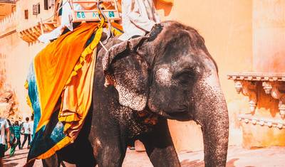 Excursão de Luxo Triângulo Dourado de 6 Noites e 7 Dias com Varanasi (Hotéis 5 Estrelas) — 4
