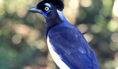 2-Day Iguazu Falls with Optional Airfare from Buenos Aires — 3