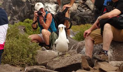 Natureza e Vida Selvagem do Equador: Andes, Amazônia e Galápagos — 5