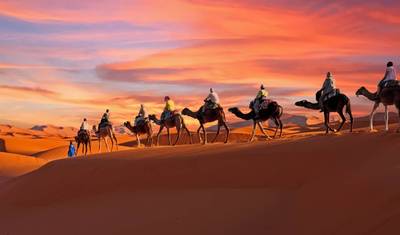 Desert Tour From Marrakech 3-Day Night in Luxury camp — 5