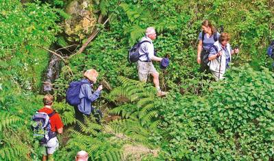 Madeira - Ilha dos sonhos verde no Atlântico — 4