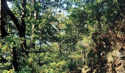 Madeira - Ilha dos sonhos verde no Atlântico — 5