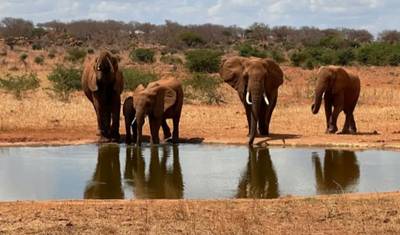 Da Praia à Savana: Safari de 1 Dia em Tsavo East partindo de Mombasa — 3