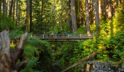 Washington Olympic and Cascades Adventure — 3