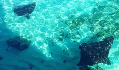 Flotilha de catamarã: abril e maio de 2025 nas Ilhas Abaco, Bahamas — 5