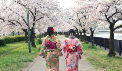 South Japan Express — 3