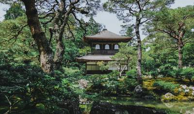 Imperial Capitals of Japan Small Group Tour — 2
