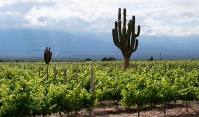 4-Day Salta Essentials with Optional Airfare — 2