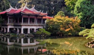 Japonia w pigułce - prywatna wycieczka — 4