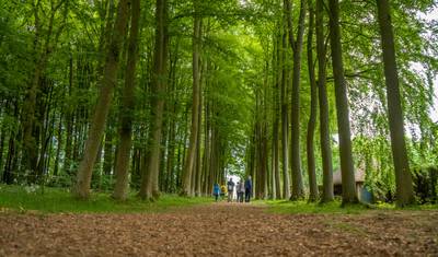 Cycle The Cotswolds and Oxford — 4