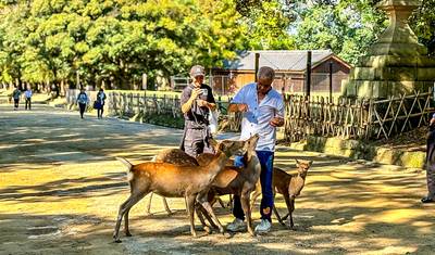Szyta na miarę wycieczka do Japonii i Chin, codzienne wyjazdy i prywatny przewodnik z samochodem — 4