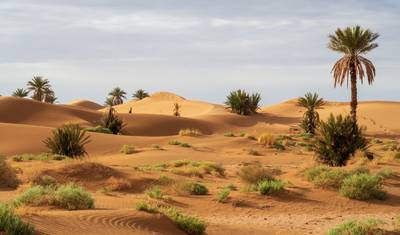 Morocco Desert Tour 6 Days From Agadir To Sahara Desert — 2