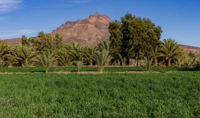 Morocco Desert Tour 6 Days From Agadir To Sahara Desert — 3