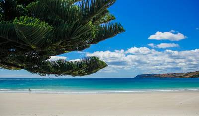 Totally Tasmania - 6 days — 5
