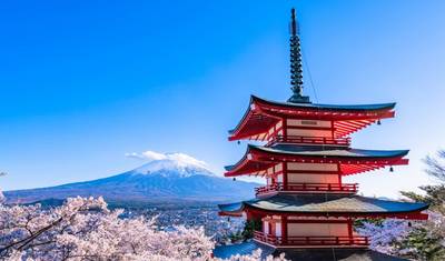 10 Days Romantic Honeymoon under the Cherry Blossoms (private guide & driver） — 5