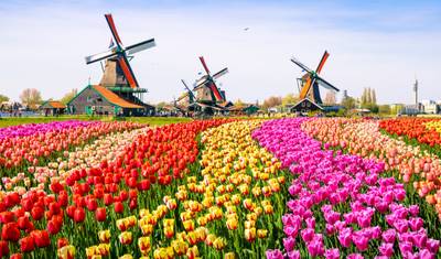 Delícias Belgas e Holanda em Flor 2026 — 5