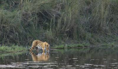 Indian Family Adventure — 2
