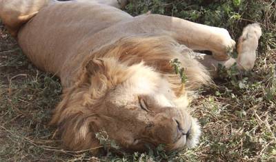 Explore Tanzania’s Central and Southern Gems — 3