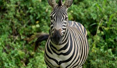 Explore Tanzania’s Central and Southern Gems — 5