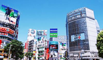 10 Days A Senior-Friendly Journey Through Japan in Autumn (private guide & driver） — 3