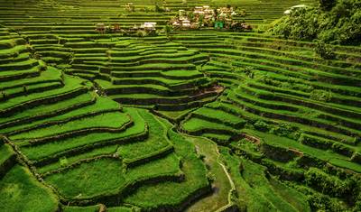 Best of the Philippines - 14 days — 2