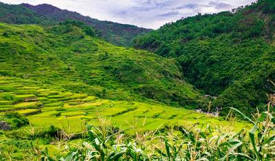 North Luzon Explorer - 4 days — 5
