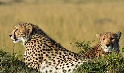 Kenya’s Exclusive Wildlife Escape — 3