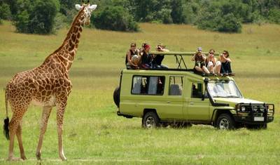 Viagem de Luxo Privada de 12 Dias no Quênia e Tanzânia — 2