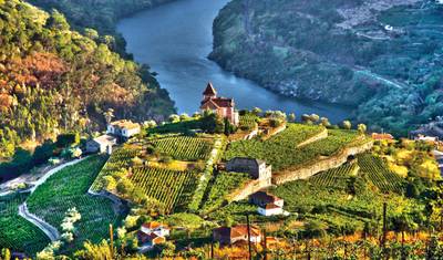 Douro Discovery بورتو إلى بورتو (2026) — 5