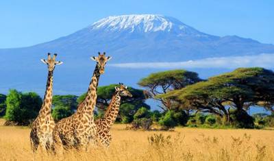 Safári em Grupo Pequeno de 7 Dias e 6 Noites com Alojamento Superior para Masai Mara, Lago Nakuru, Lago Naivasha/Hell’s Gate e Parques Nacionais de Amboseli — 5
