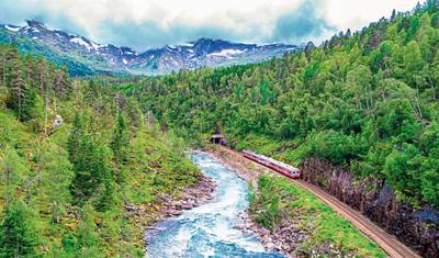 Bergen Railway experience in summer — 4