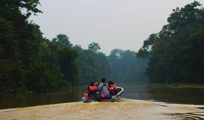 Borneo Adventure — 2
