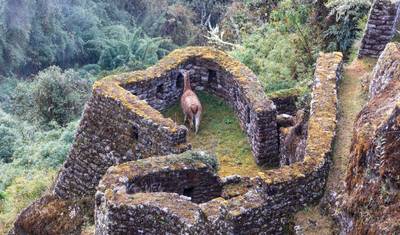 Trilha Inca e Machu Picchu - 7 Dias — 5