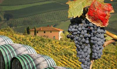 Best of Tuscany - 4 Days — 2