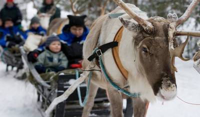 Niezapomniana Arktyczna Przygoda w Finlandii i Szklane Igloo — 4