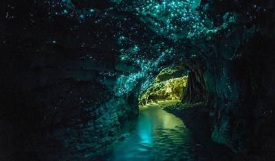 New Zealand: Auckland, Waitomo and Rotorua in 5 days — 3