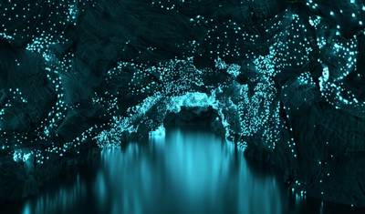 New Zealand: Auckland, Waitomo and Rotorua in 5 days — 4