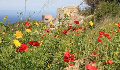 Get to Know Corsica — 2