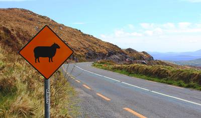 Get to Know Ireland — 4
