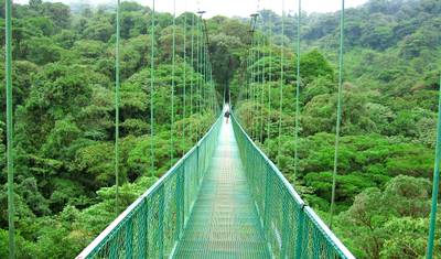 Pura Vida - Costa Rica's Natural Paradise — 3